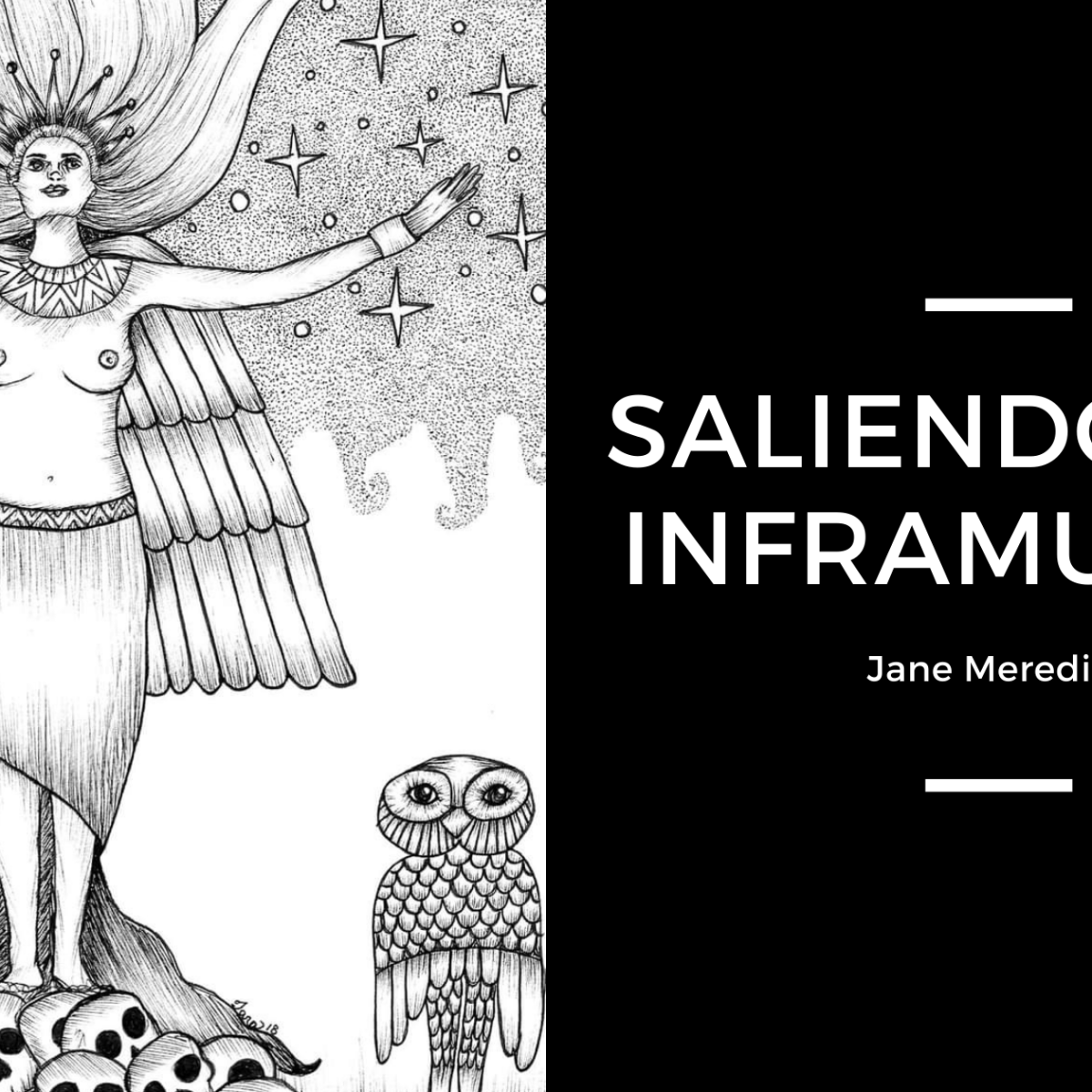 Saliendo del inframundo. Jane&nbsp;Meredith